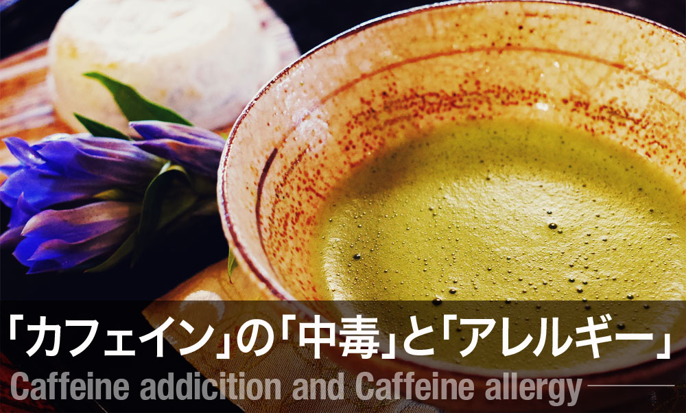 簡単抹茶プリン:濃厚なのに簡単レシピ 11 抹茶プリンとカフェイン