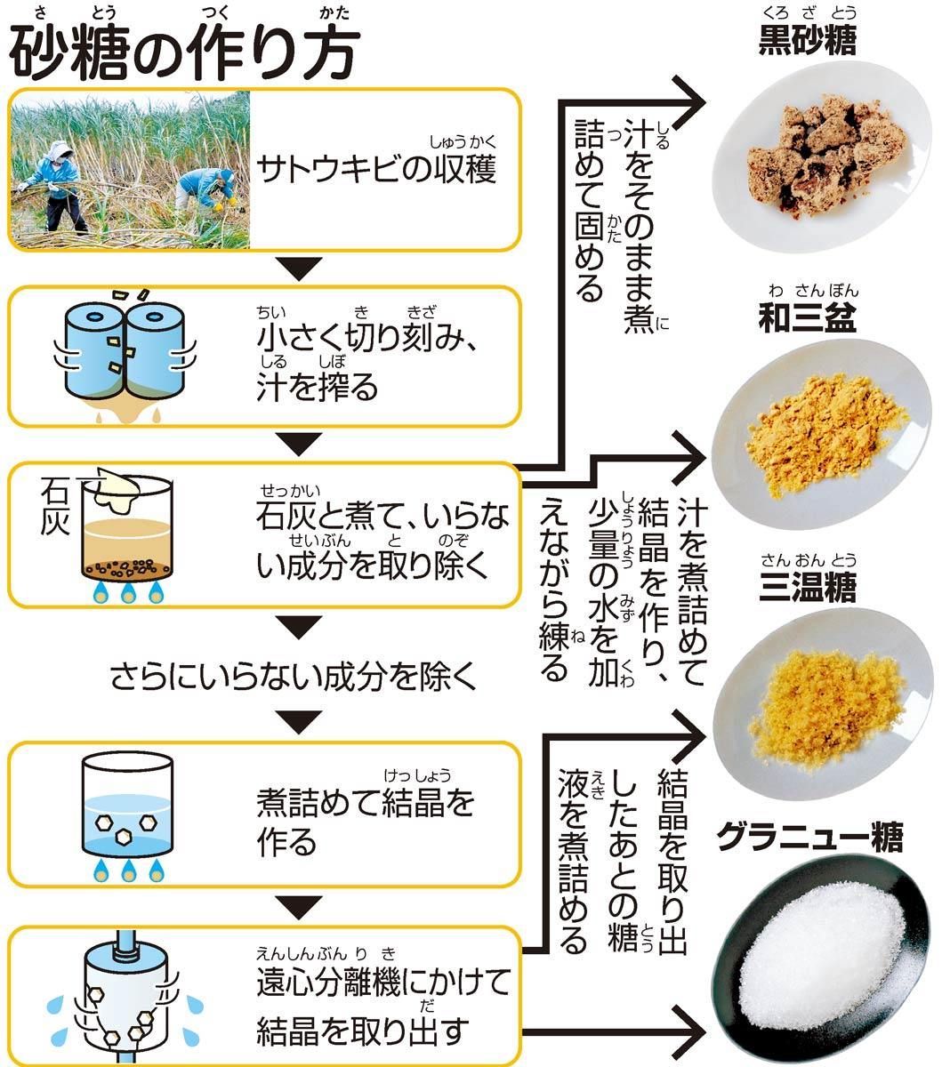 簡単抹茶プリン:濃厚なのに簡単レシピ 14 プリンの材料:砂糖の役割