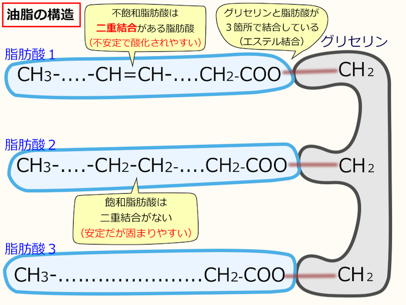 油脂の種類とその特徴