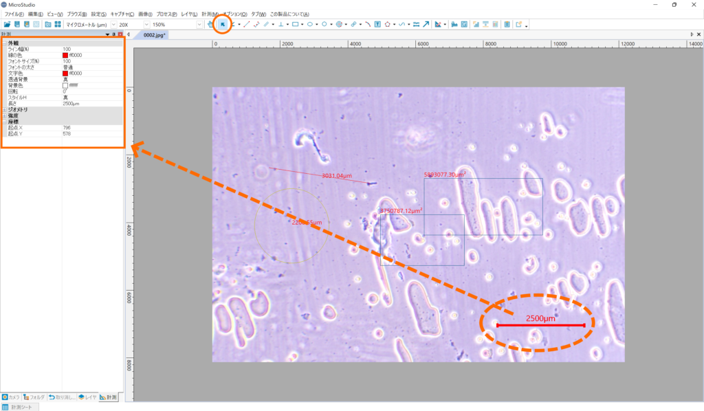 スマホの画面を拡大表示する方法 9 設定アプリから表示スケールを確認・変更する