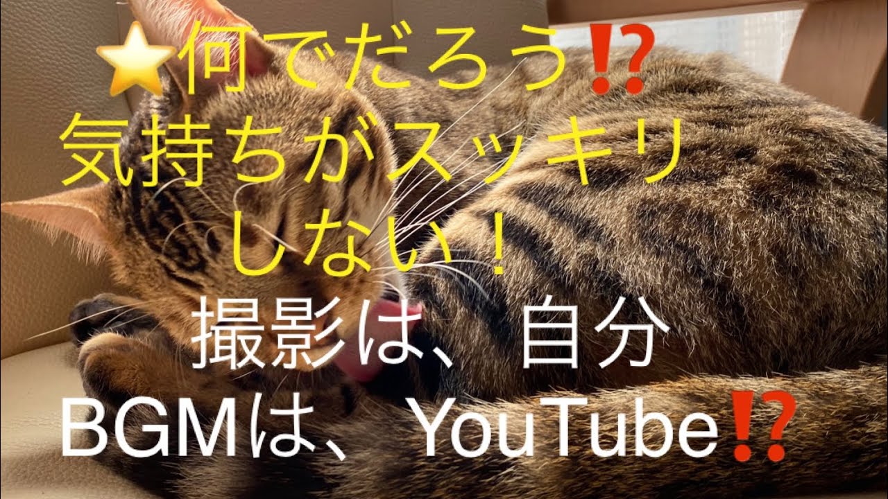 著作権フリー動画の確認方法