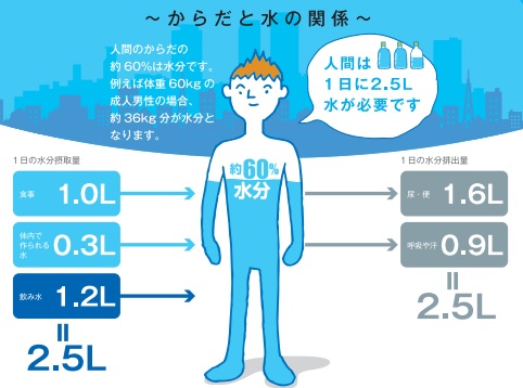 十分な水分補給の重要性