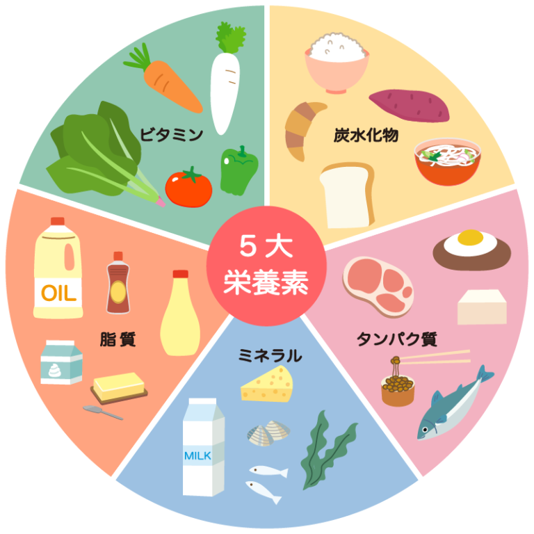 栄養バランスの良い食事の摂取