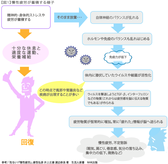 免疫力と風邪の回復期間