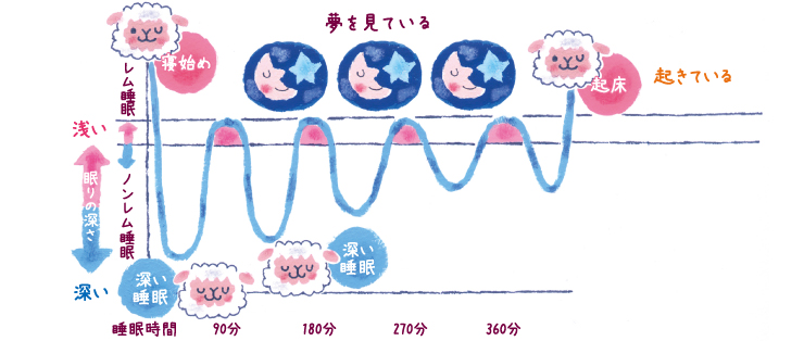 睡眠時間と睡眠リズムの維持