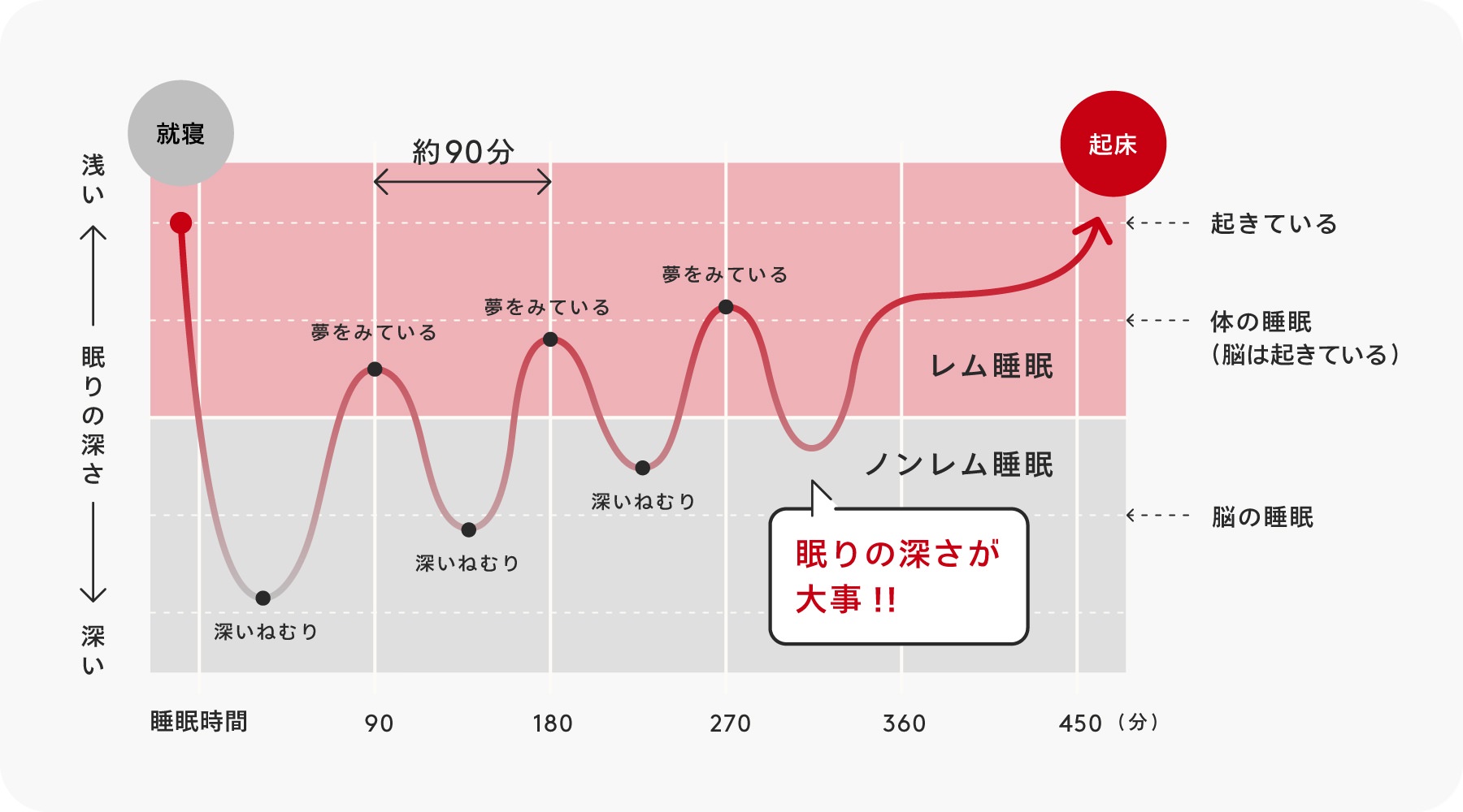 質の良い睡眠の重要性