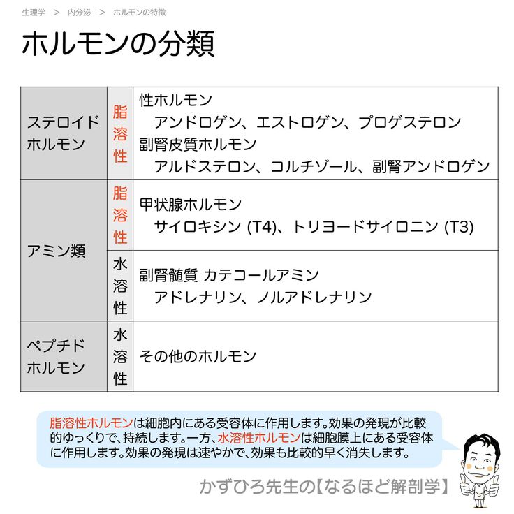 ストレスホルモンの増加