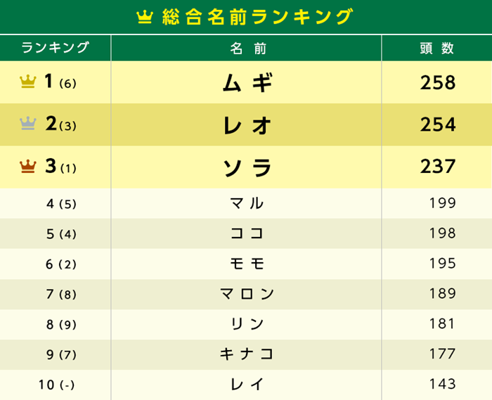 猫の種類を選ぶ上で、重要なポイントは？