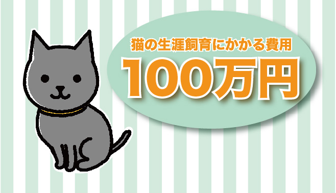 猫の飼育費用はどれくらいかかりますか？