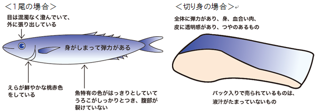 魚の選び方と注意点