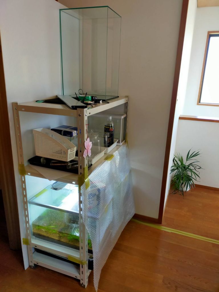 水槽の水を準備する際に、注意すべき点はありますか？