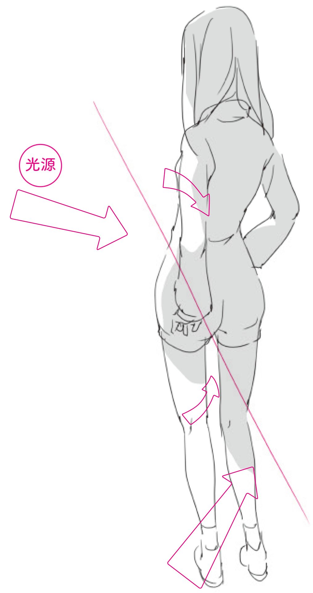 構図と被写体の確認