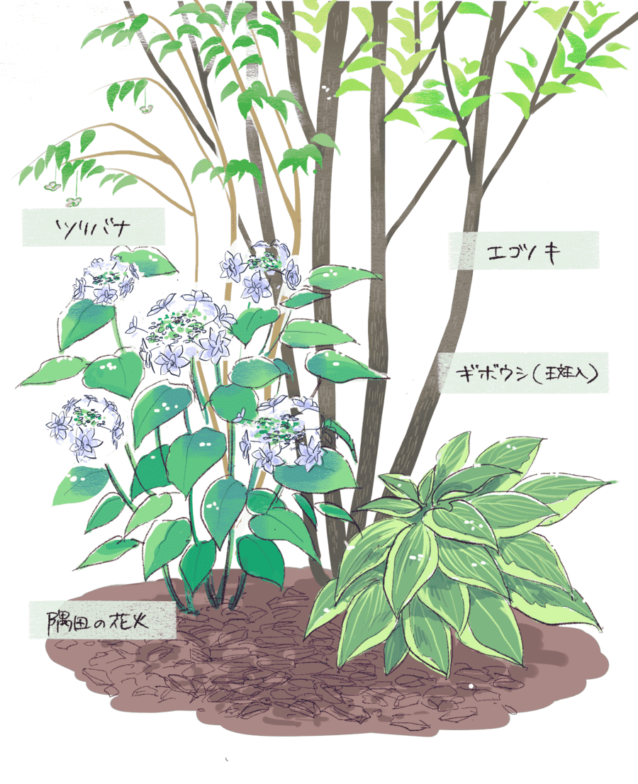 適切な植物の選び方