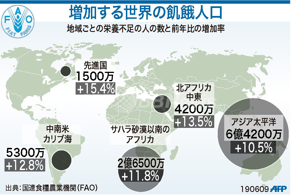 栄養分の供給