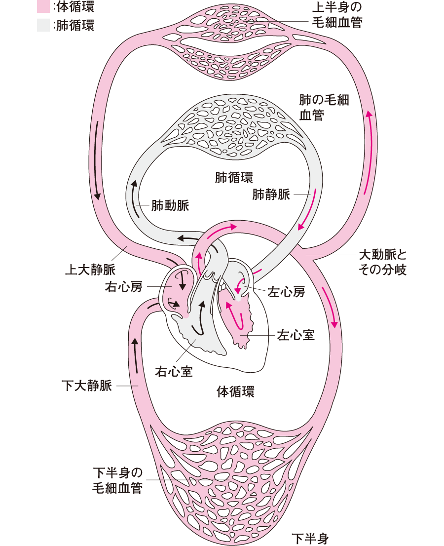 空気の循環