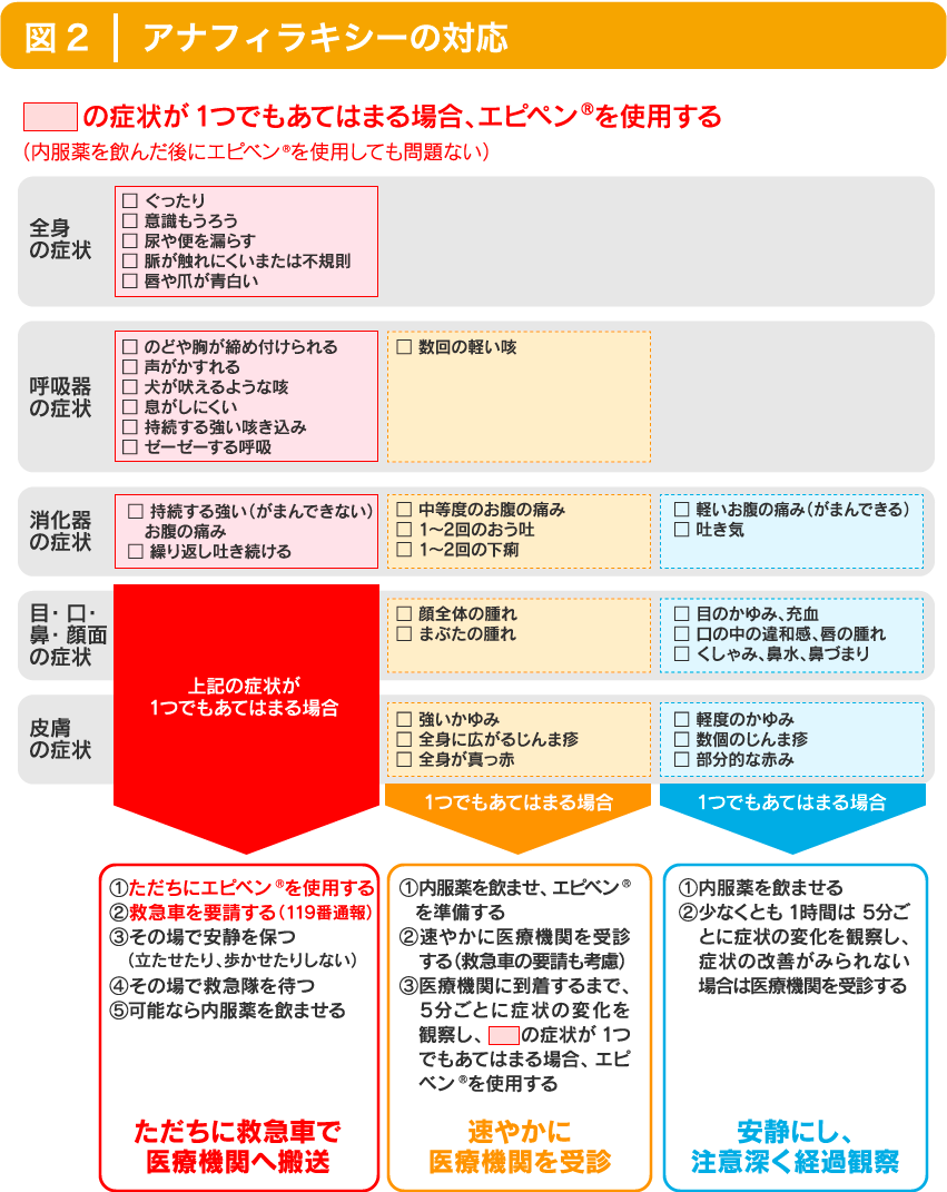 アレルギーの予防と改善への取り組み