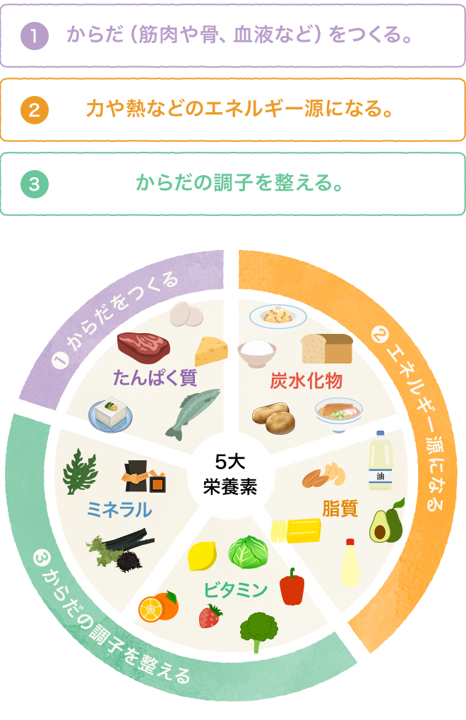 5. 食生活に気を付ける