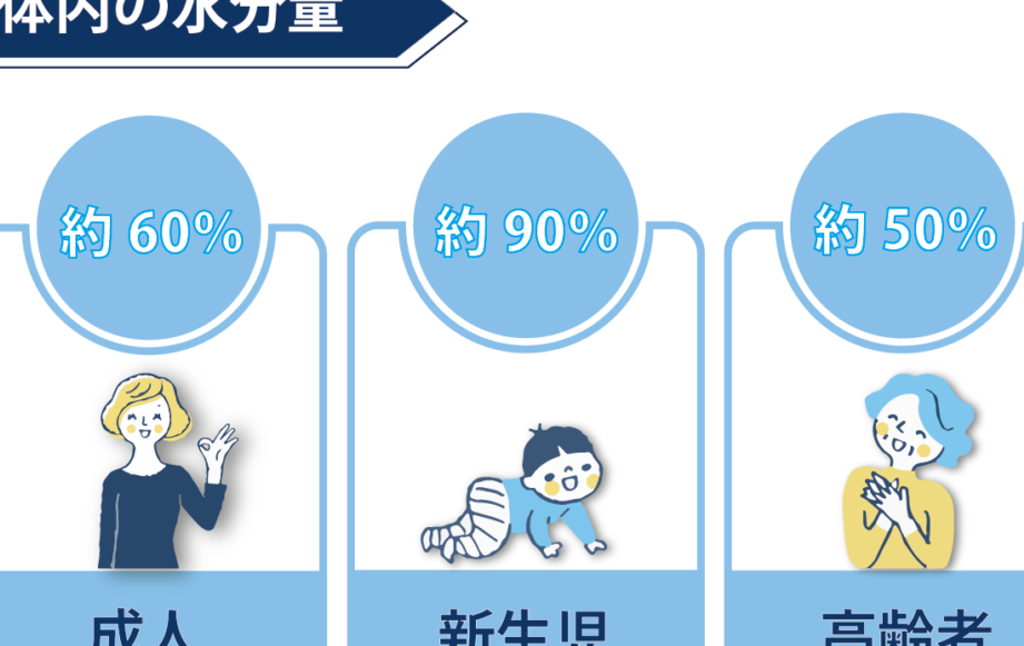 水分補給の重要性と方法