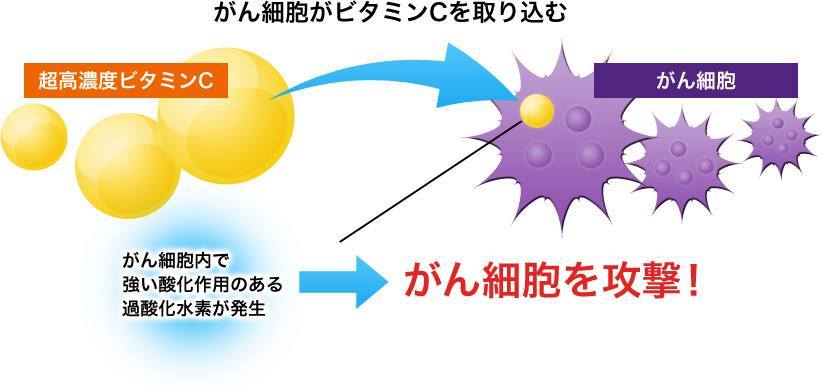 ビタミンCの抗酸化作用とは？